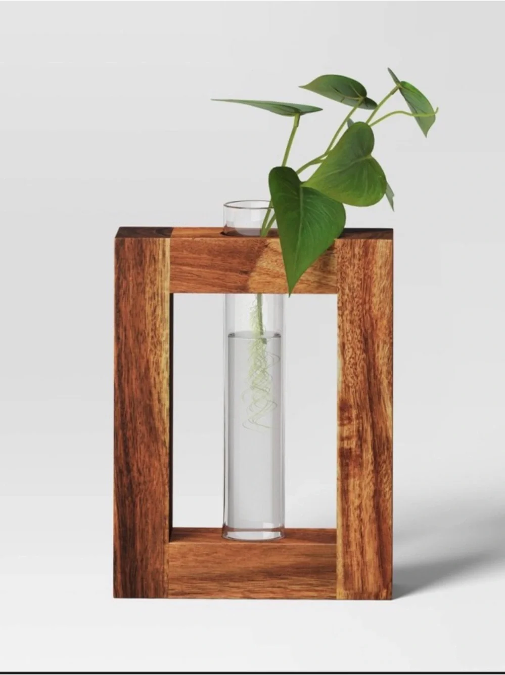 Propagation Vessel Rectangle with Wood Base Natural Wood- Threshold™